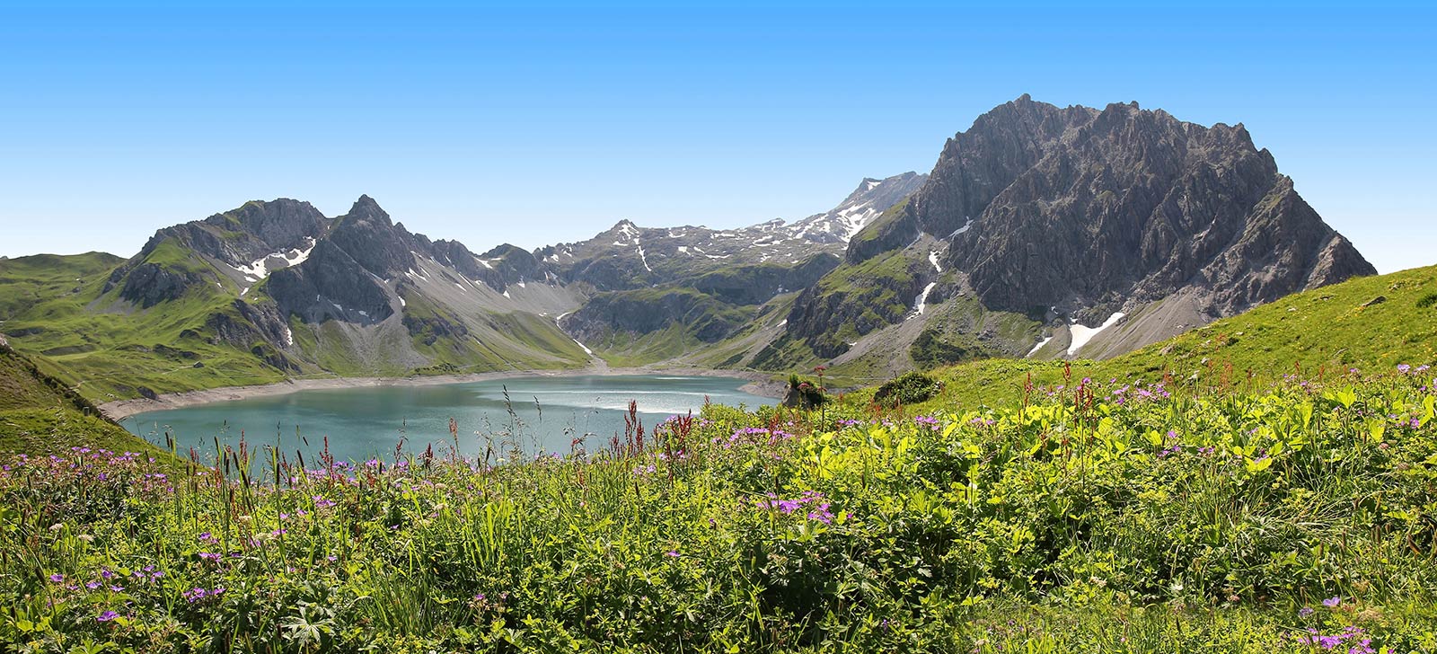 Bergsee mit Blumenwiese und Gipfeln