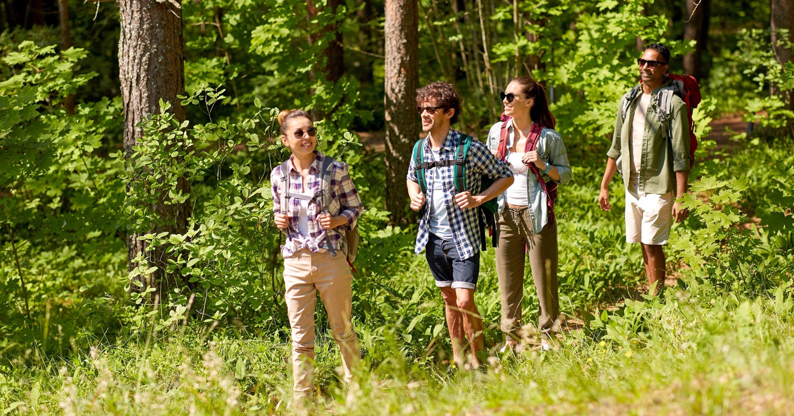 Vier Leute wandern fröhlich im Wald