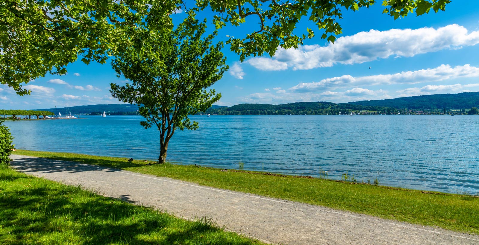 Seeweg mit Segelbooten und Bäumen im Sommer